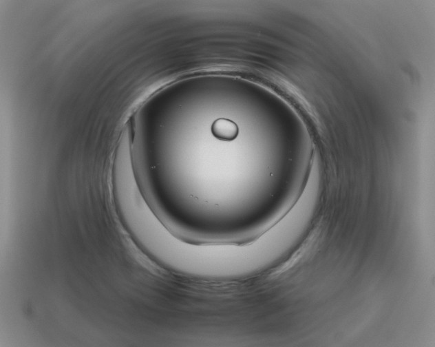 X0000114141417200910221516