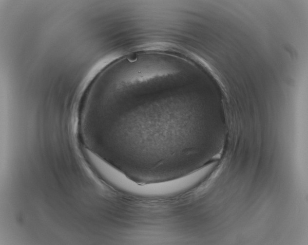 X0000114141418200910221516