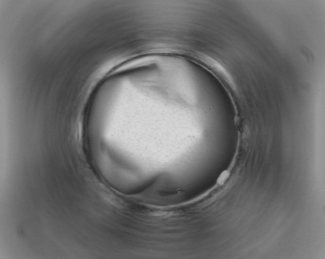 X0000114141419200910221516