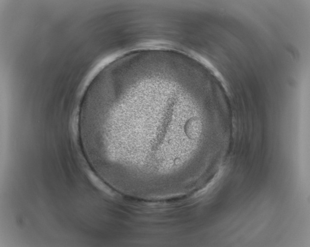 X0000114141421200910221516