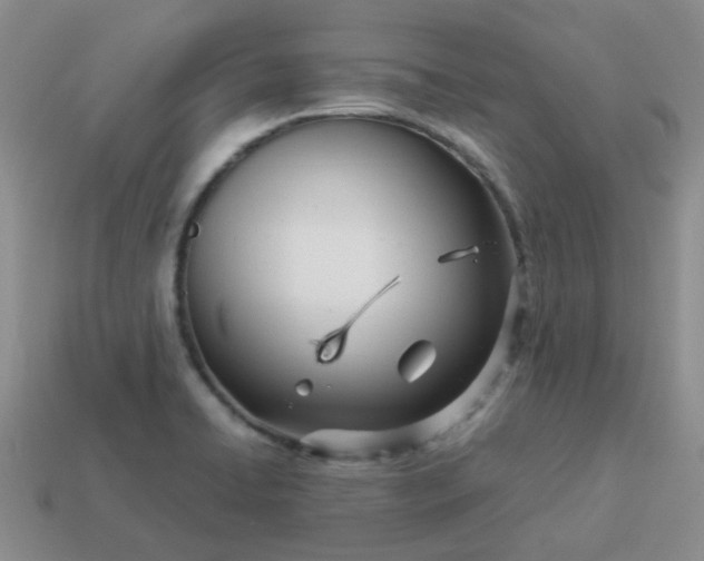 X0000114141422200910221516