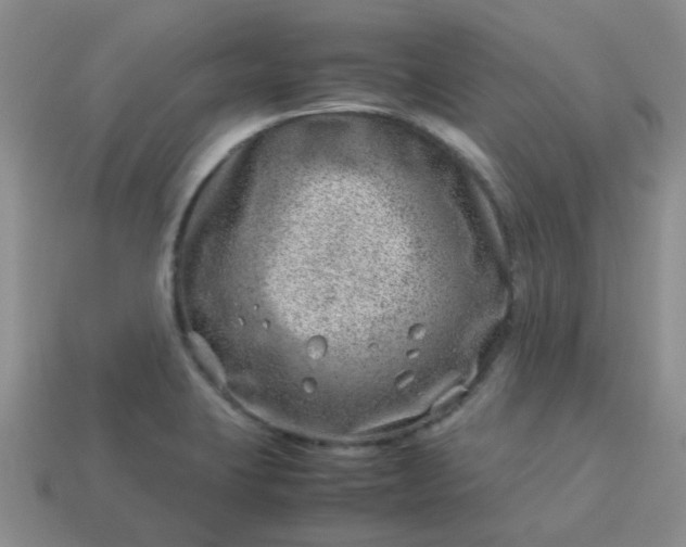 X0000114141423200910221516