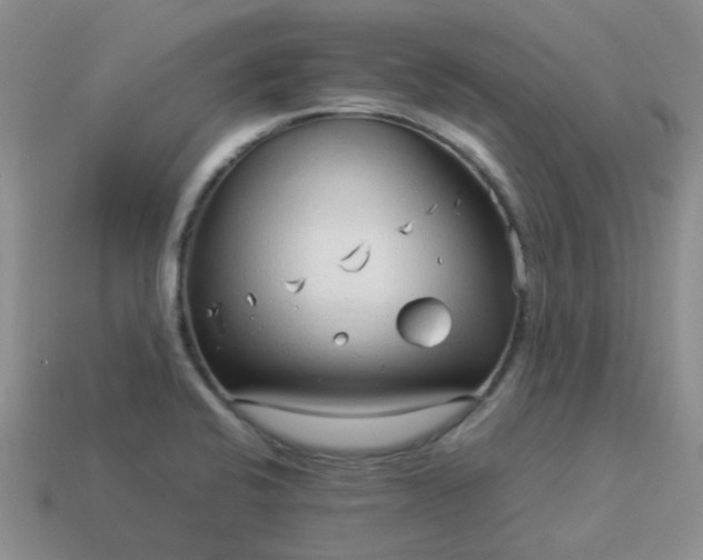 X0000114141424200910221516