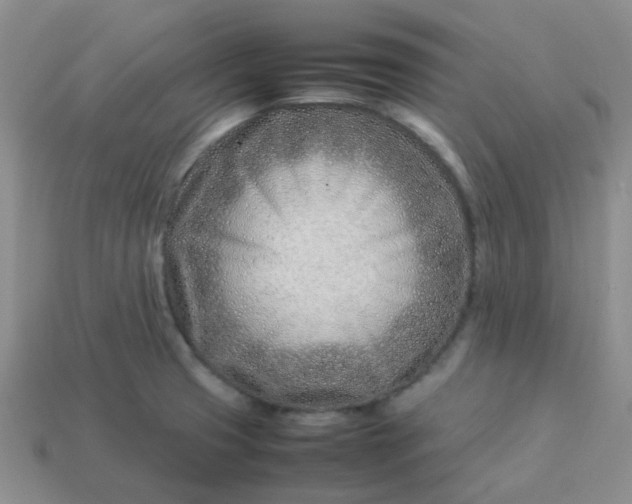 X0000114141425200910221516