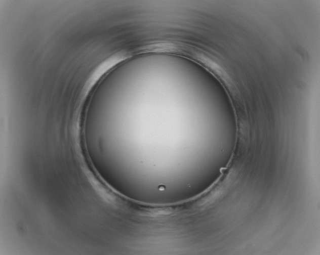 X0000114141426200910221516