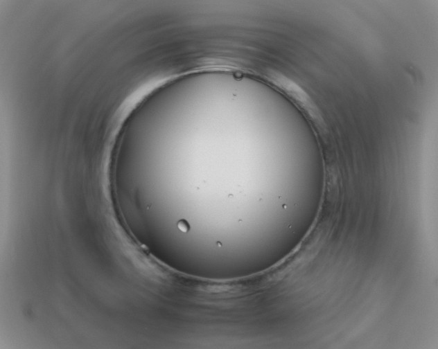 X0000114141427200910221516