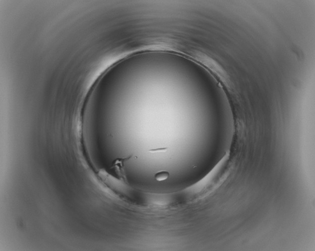 X0000114141428200910221516