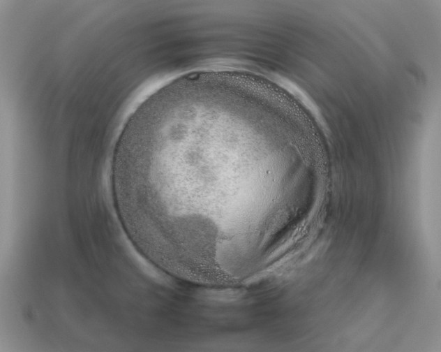 X0000114141429200910221516