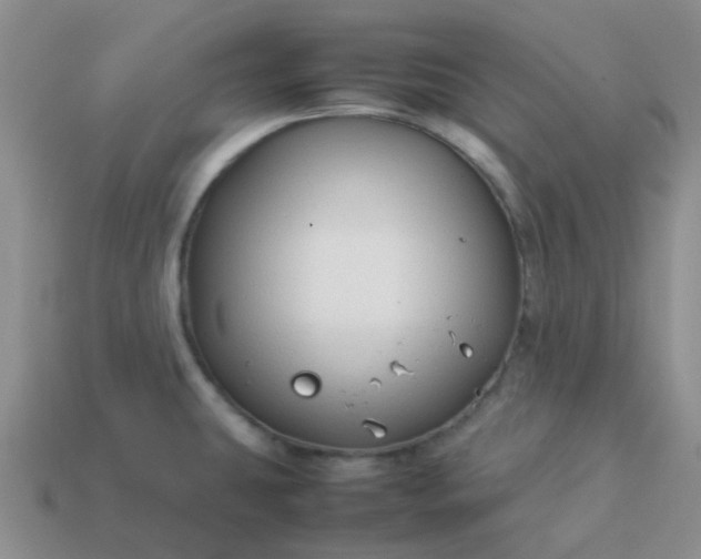 X0000114141431200910221516