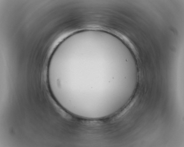 X0000114141432200910221516