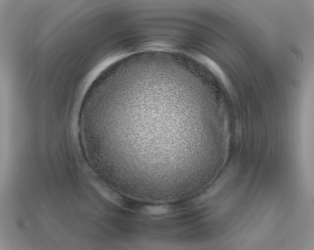 X0000114141435200910221516