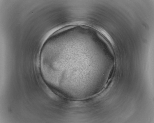 X0000114141436200910221516