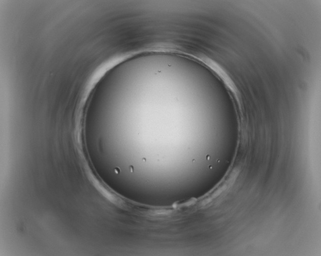 X0000114141437200910221516