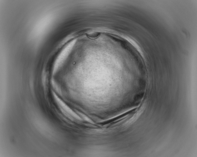 X0000114141438200910221516