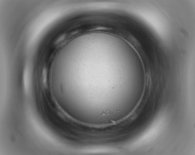 X0000114141439200910221516