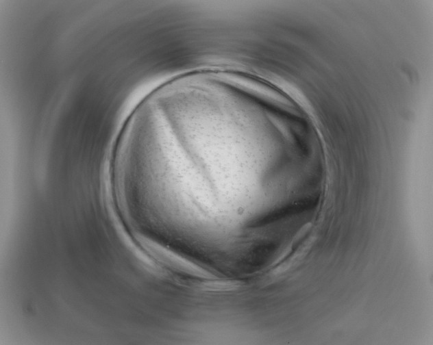 X0000114141440200910221516