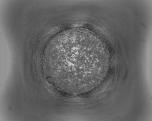 X0000114141441200910221515