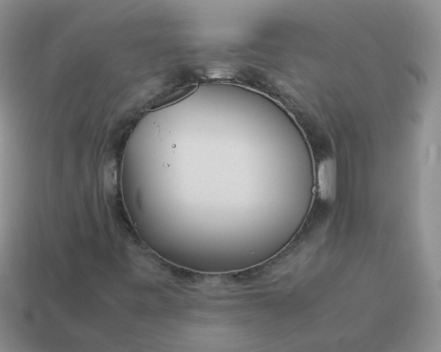 X0000114141443200910221515