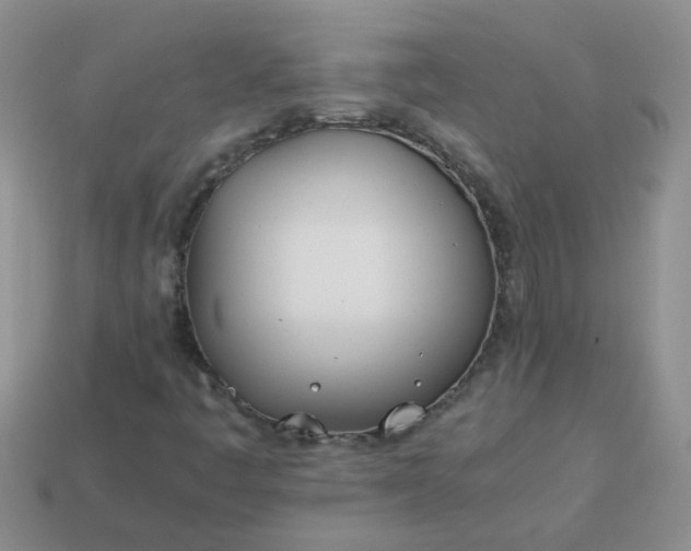 X0000114141445200910221515