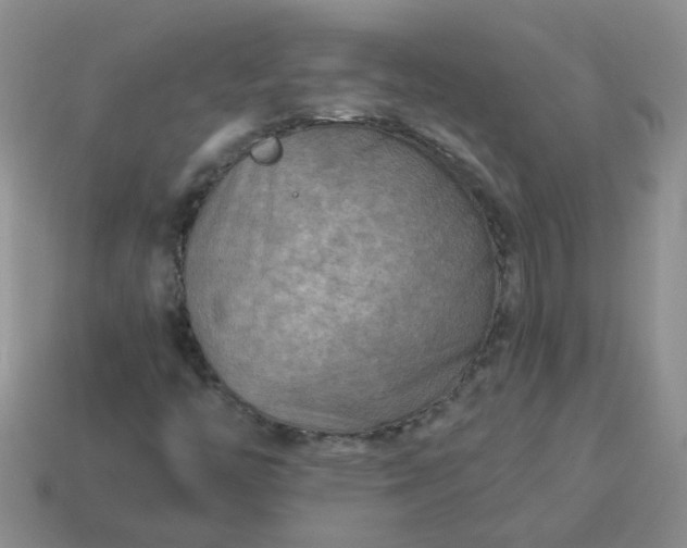 X0000114141446200910221515