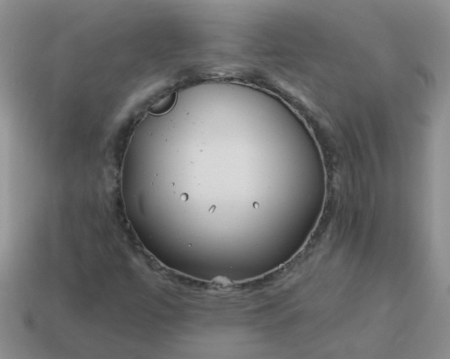 X0000114141447200910221515