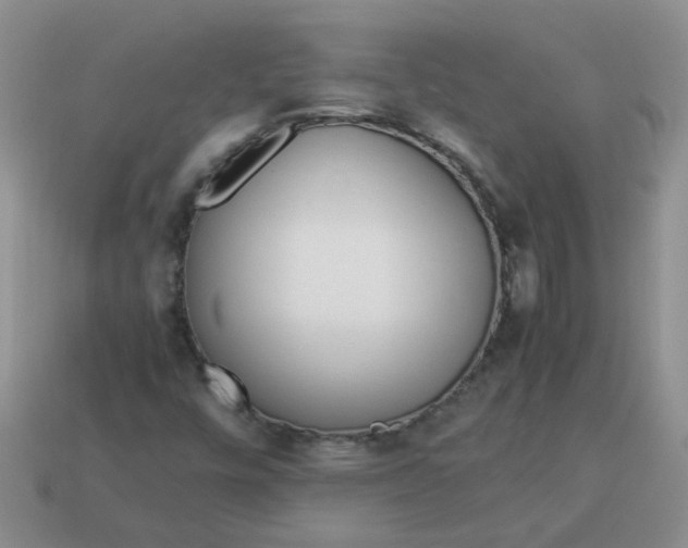 X0000114141448200910221515