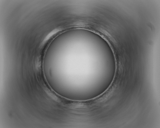 X0000114141450200910221515