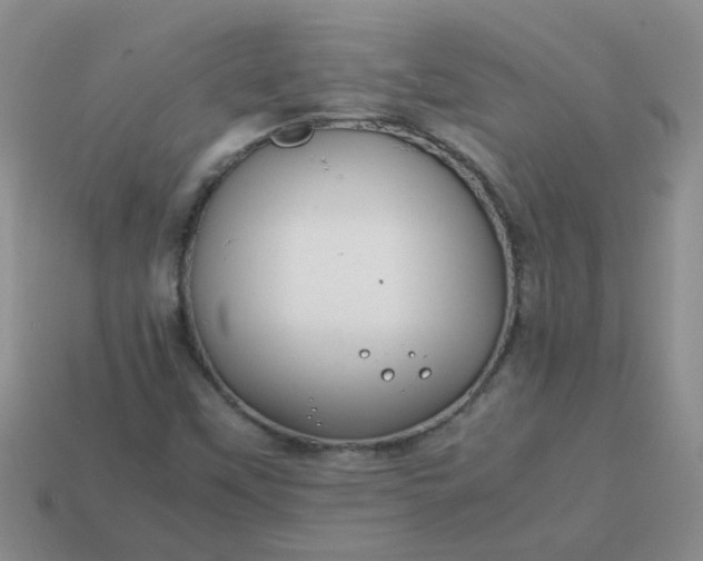 X0000114141451200910221515