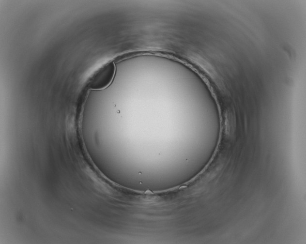 X0000114141452200910221515