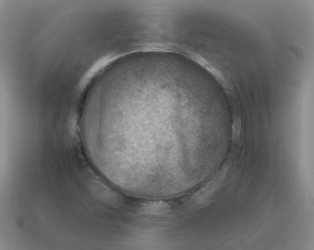 X0000114141454200910221515