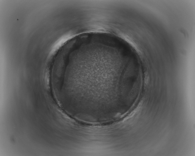 X0000114141455200910221515