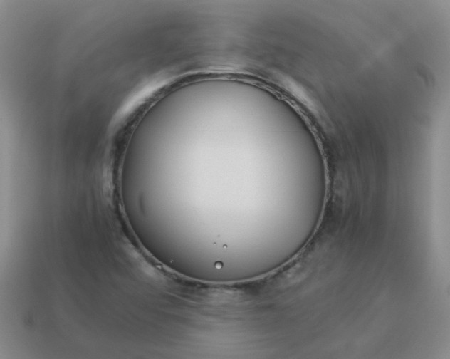 X0000114141456200910221515