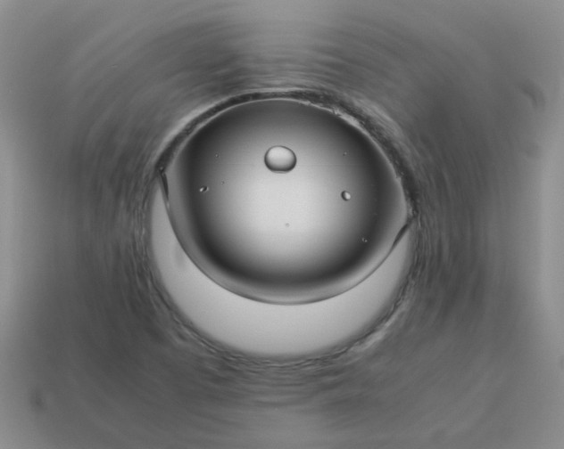 X0000114141457200910221515