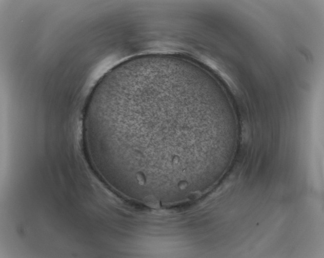 X0000114141459200910221515