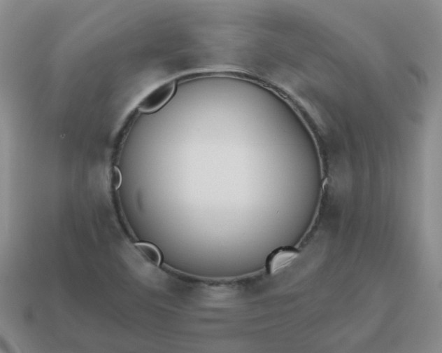 X0000114141460200910221515