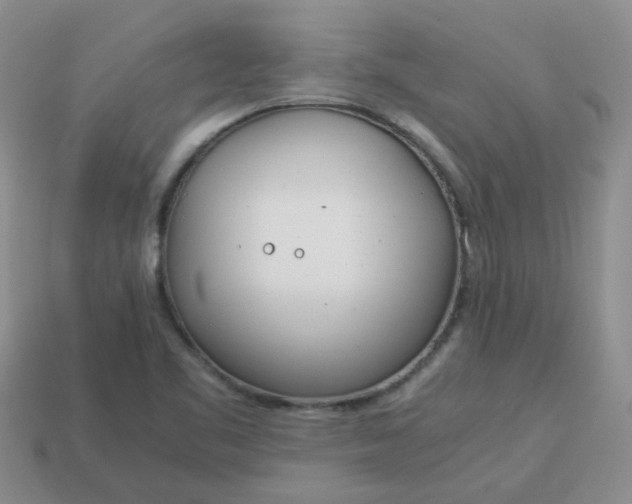 X0000114141461200910221515