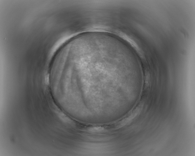 X0000114141462200910221515