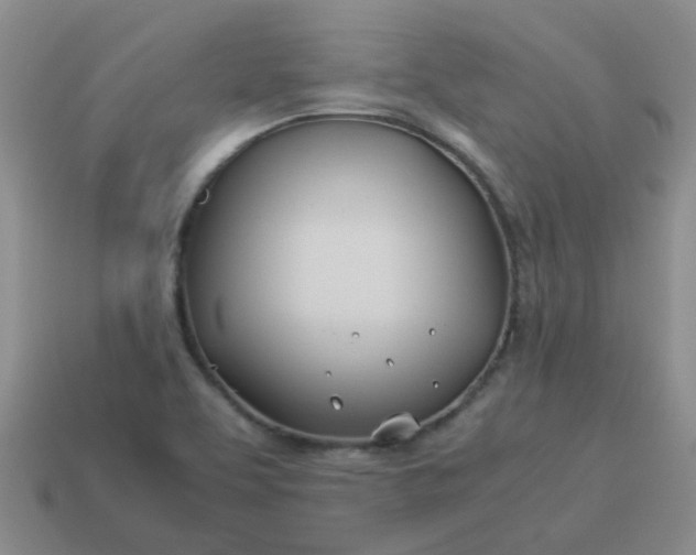 X0000114141463200910221515