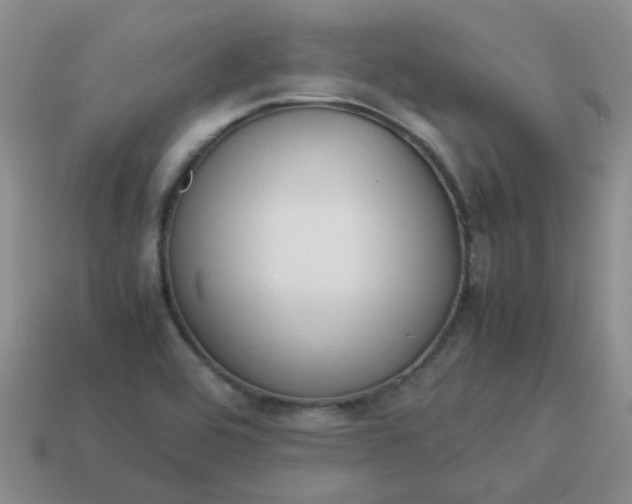 X0000114141464200910221515