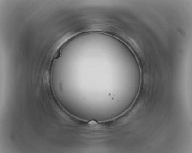 X0000114141465200910221515