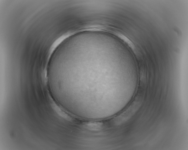 X0000114141466200910221515