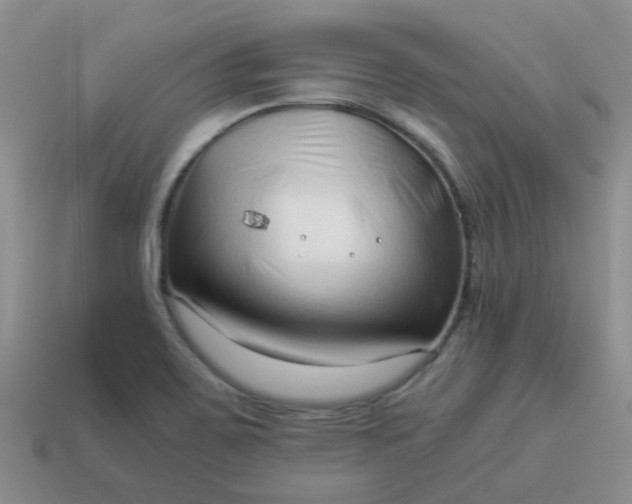 X0000114141467200910221515