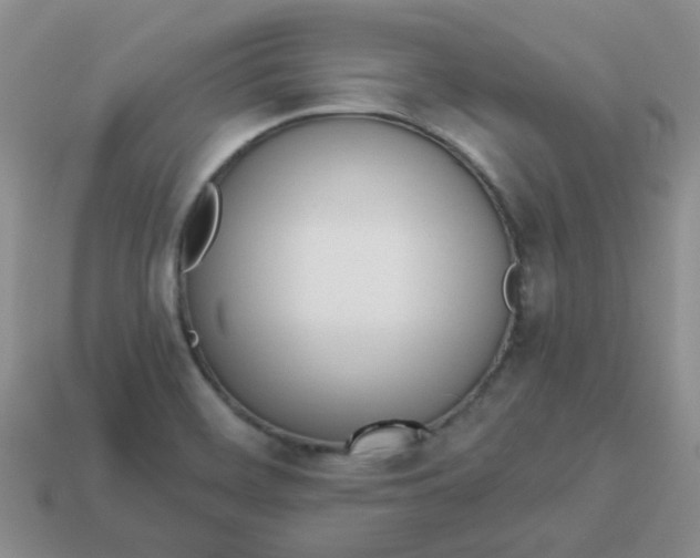 X0000114141468200910221515