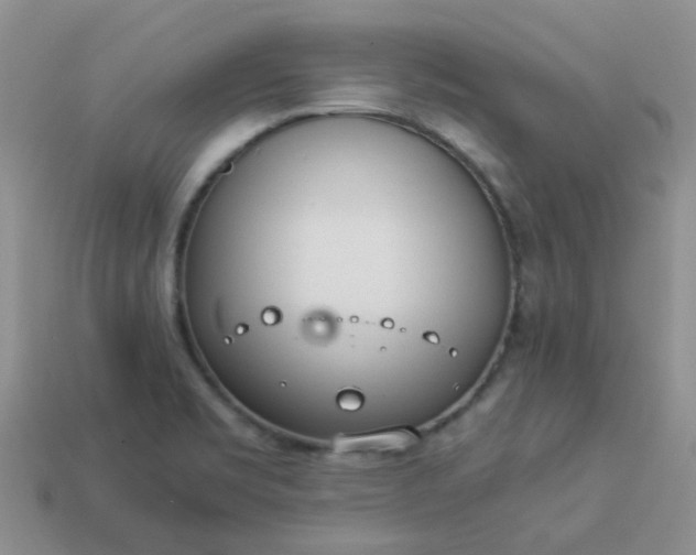 X0000114141469200910221515