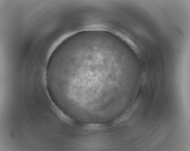 X0000114141470200910221515