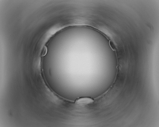 X0000114141472200910221515