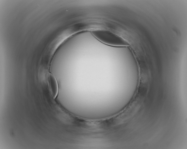 X0000114141473200910221515