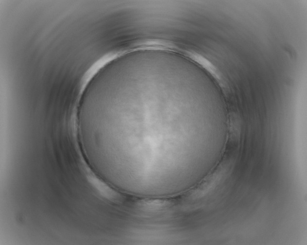 X0000114141474200910221515