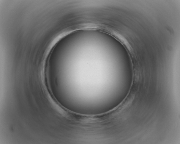 X0000114141475200910221515