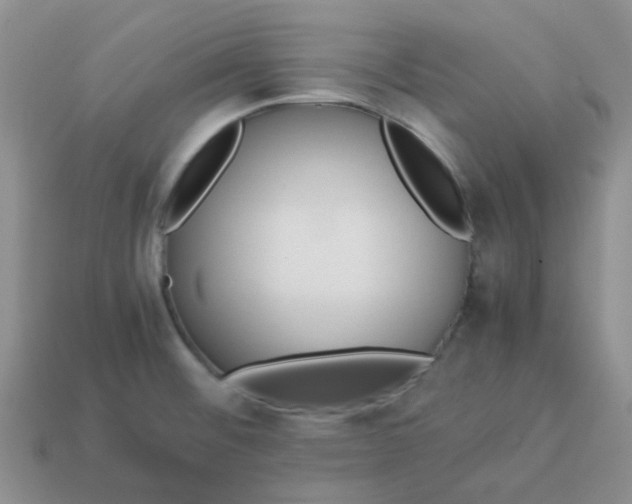 X0000114141476200910221515